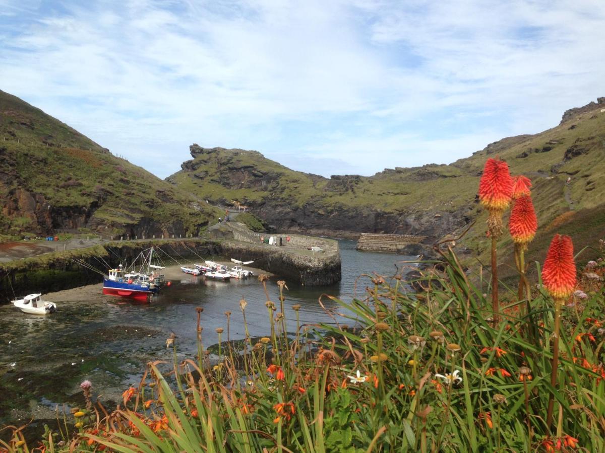 Harbour Light Apartment Boscastle Exterior foto
