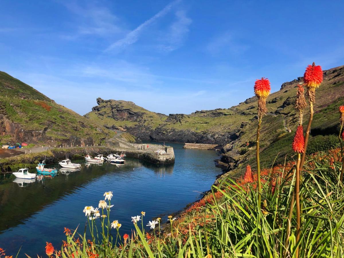 Harbour Light Apartment Boscastle Exterior foto